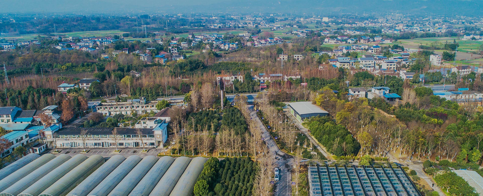 蔬菜品種育苗、示范推廣、基地種植、農(nóng)產(chǎn)品生產(chǎn)、加工 、銷(xiāo)售